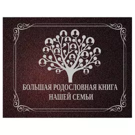 Книга АСТ Большая родословная книга нашей семьи