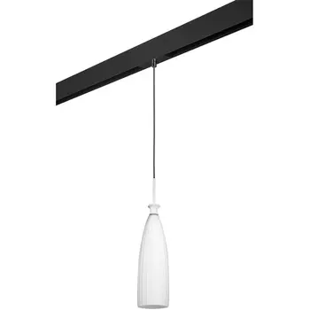 Трековый светильник однофазный 220V Lightstar Agola PRO810010