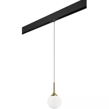 Трековый светильник однофазный 220V Lightstar Globo PRO813013