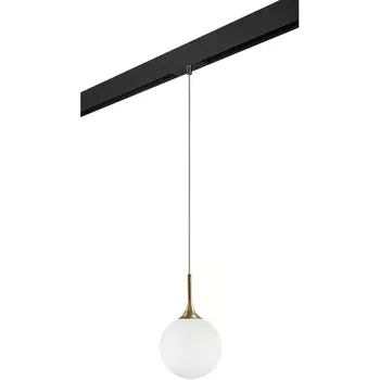 Трековый светильник однофазный 220V Lightstar Globo PRO813022