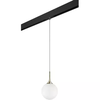 Трековый светильник однофазный 220V Lightstar Globo PRO813023