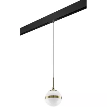 Трековый светильник однофазный 220V Lightstar Globo PRO813111