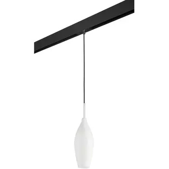 Трековый светильник однофазный 220V Lightstar Pentola PRO803020
