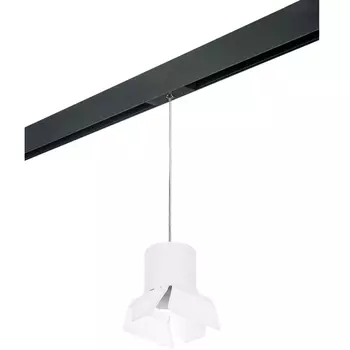 Трековый светильник однофазный 220V Lightstar Rullo PRORP3486486