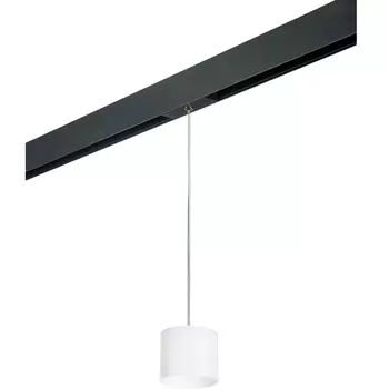 Трековый светильник однофазный 220V Lightstar Rullo PRORP3486
