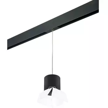 Трековый светильник однофазный 220V Lightstar Rullo PRORP3487486