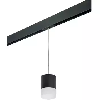 Трековый светильник однофазный 220V Lightstar Rullo PRORP348781