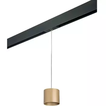 Трековый светильник однофазный 220V Lightstar Rullo PRORP3490