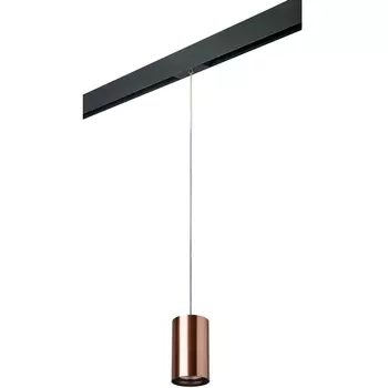 Трековый светильник однофазный 220V Lightstar Rullo PRORP430