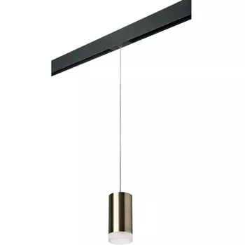 Трековый светильник однофазный 220V Lightstar Rullo PRORP43130