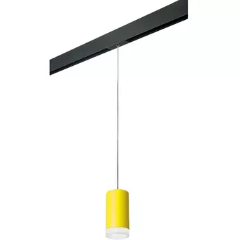 Трековый светильник однофазный 220V Lightstar Rullo PRORP43330