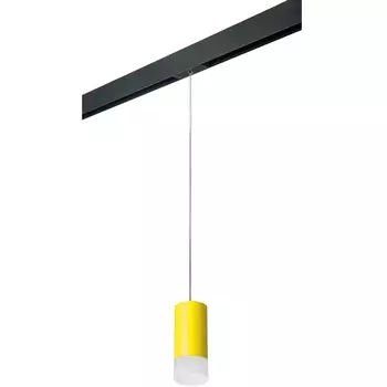 Трековый светильник однофазный 220V Lightstar Rullo PRORP43331