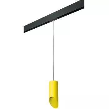 Трековый светильник однофазный 220V Lightstar Rullo PRORP43333