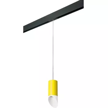 Трековый светильник однофазный 220V Lightstar Rullo PRORP43336