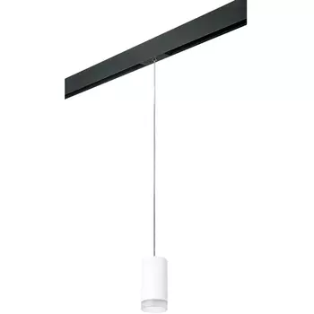 Трековый светильник однофазный 220V Lightstar Rullo PRORP43630