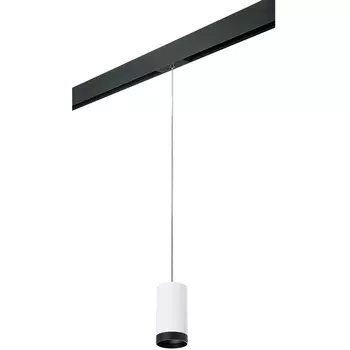 Трековый светильник однофазный 220V Lightstar Rullo PRORP4363437