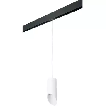 Трековый светильник однофазный 220V Lightstar Rullo PRORP43636
