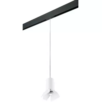 Трековый светильник однофазный 220V Lightstar Rullo PRORP436436