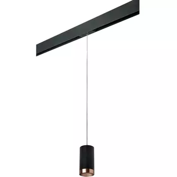 Трековый светильник однофазный 220V Lightstar Rullo PRORP437430