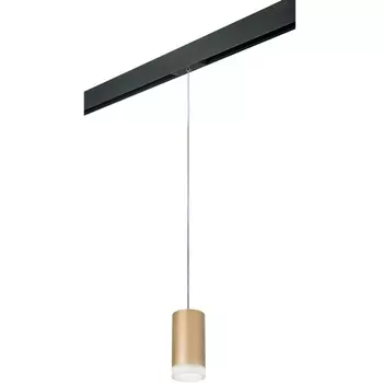 Трековый светильник однофазный 220V Lightstar Rullo PRORP44030