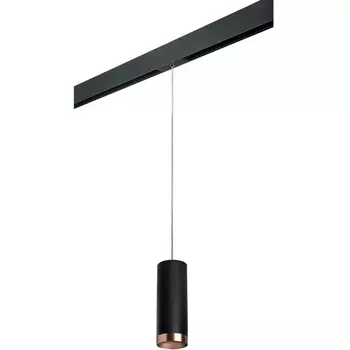 Трековый светильник однофазный 220V Lightstar Rullo PRORP487430