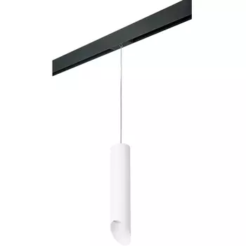 Трековый светильник однофазный 220V Lightstar Rullo PRORP49636