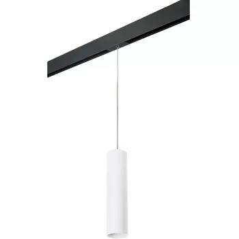 Трековый светильник однофазный 220V Lightstar Rullo PRORP496