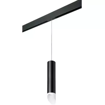 Трековый светильник однофазный 220V Lightstar Rullo PRORP49736