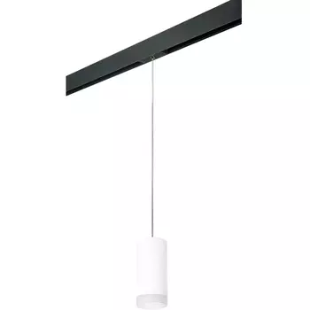 Трековый светильник однофазный 220V Lightstar Rullo PRORP648680