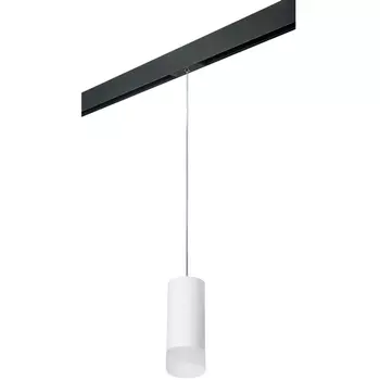 Трековый светильник однофазный 220V Lightstar Rullo PRORP648681