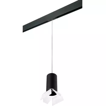 Трековый светильник однофазный 220V Lightstar Rullo PRORP6487486