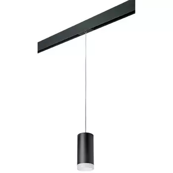 Трековый светильник однофазный 220V Lightstar Rullo PRORP648780