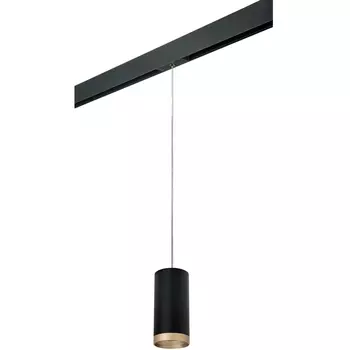Трековый светильник однофазный 220V Lightstar Rullo PRORP648790
