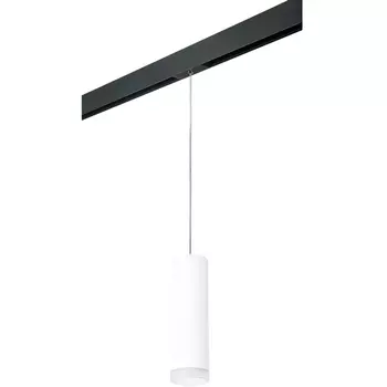 Трековый светильник однофазный 220V Lightstar Rullo PRORP649680
