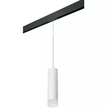 Трековый светильник однофазный 220V Lightstar Rullo PRORP649681
