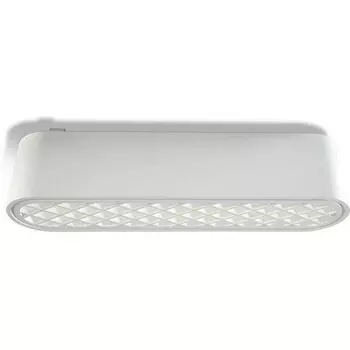Трековый светильник светодиодный низковольтный 6W 40V Wertmark WTH WTH.O21.007.40.06
