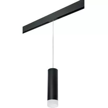 Трековый светильник однофазный 220V Lightstar Rullo PRORP649781