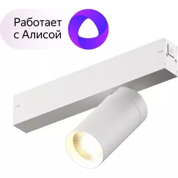 Трековый светильник однофазный 220V светодиодный с пультом, управлением смартфоном и голосом, регулировкой цветовой температуры Denkirs Smart DK8010-WH (Умный дом, Алиса)