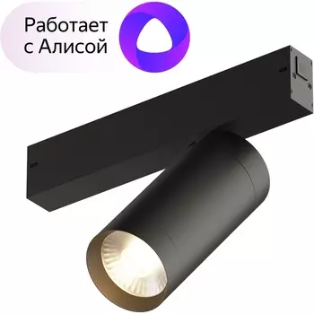 Трековый светильник однофазный 220V светодиодный с пультом, управлением смартфоном и голосом, регулировкой цветовой температуры Denkirs Smart DK8020-BK (Умный дом, Алиса)