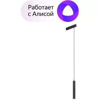 Трековый светильник однофазный 220V светодиодный с управлением смартфоном и пультом Denkirs Smart DK8008-BK (Умный дом, Алиса)