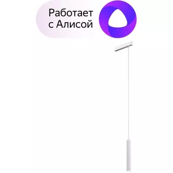 Трековый светильник однофазный 220V светодиодный с управлением смартфоном и пультом Denkirs Smart DK8008-WH (Умный дом, Алиса)