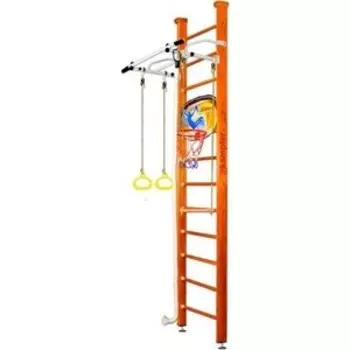 Шведская стенка Kampfer Helena Ceiling Basketball Shield №3 Классический Высота 3 м белый антик турник