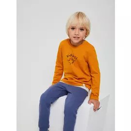 Лонгслив для мальчиков (оранжевый, 110/ 5-6 YEARS)