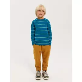 Лонгслив для мальчиков (синий, 104/ 4-5 YEARS)