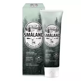 Зубная паста KeraSys Smaland Forest Fresh Mint Освежающая мята 100 г