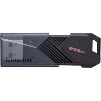 Флешка Kingston USB3.2 256GB (DTXON/256GB)