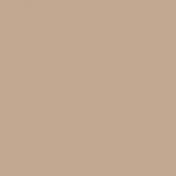 Фон бумажный Falcon Eyes BackDrop 2.72x10 бежевый (26)