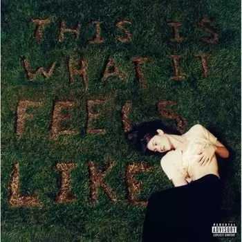 Gracie Abrams - This Is What It Feels Like (0602445236725) виниловая пластинка