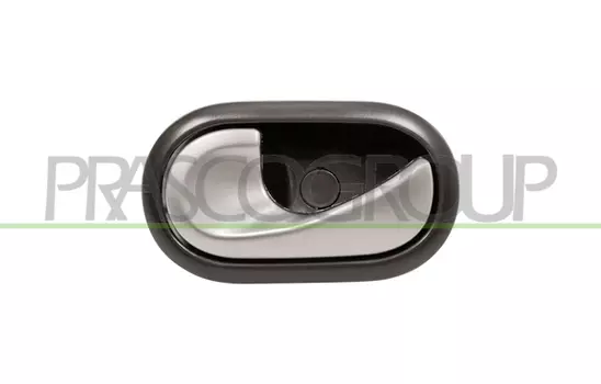 Ручка двери PRASCO DA2208622