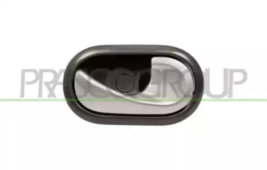 Ручка двери PRASCO DA2208621